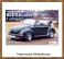 volkswagen beetle cabriolet art. 047798 a.jpg